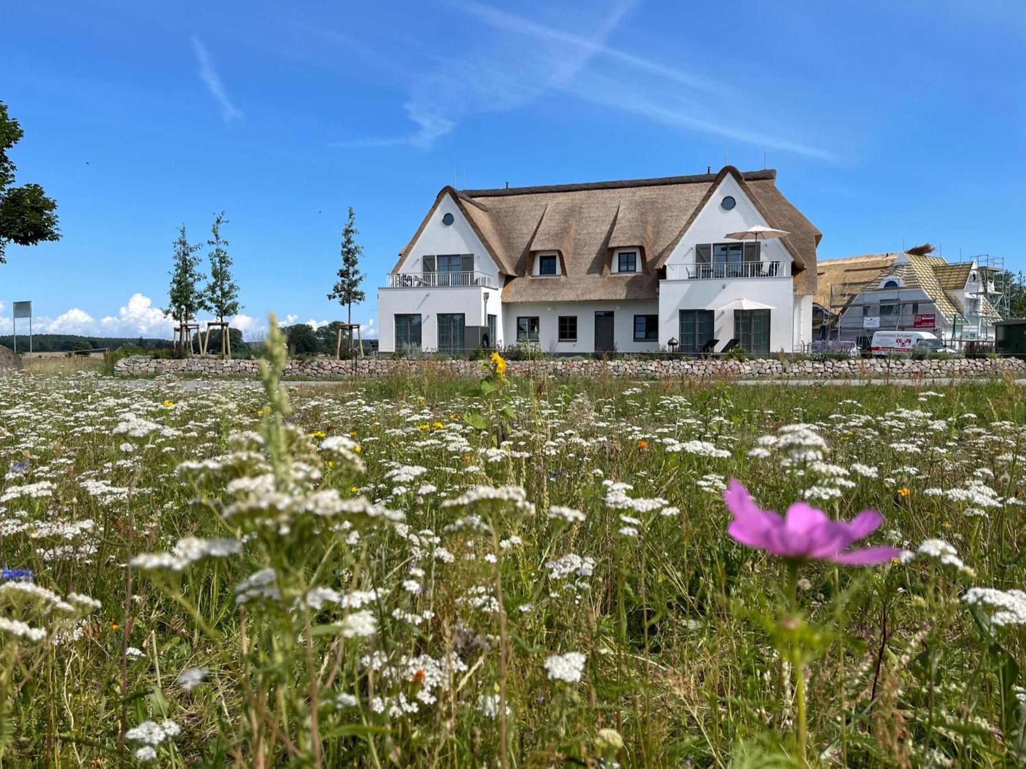 Villa Inseldomizil Stolpe - Urlaub Unter Reet Auf Usedom Stolpe auf Usedom Exterior foto